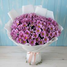 Букет цветов из:  Хризантемы в Ладовской Балке