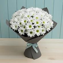 Букет цветов из:  Хризантемы в Ладовской Балке